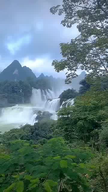 迷雾世界